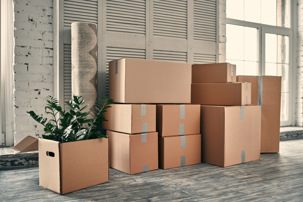 boxes for moving
